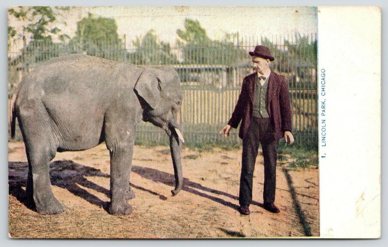 Chicago Illinois~Lincoln Park Zoo~Baby Elephant & Trainer~c1910 Postcard 