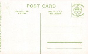 LP67  Austin Texas State Capitol Building Postcard