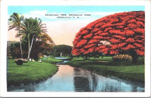 Hawaii Poinciana Tree Moanalua Park Honolulu Vintage Postcard 03.63