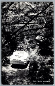 Postcard RPPC c1950 Wisconsin Dells WI Red Bird Gorge Tour Boat Susan Duck Boat