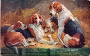 Fox Hounds Four Dogs Friends of Man Tuck Drummond Artist Postcard H54