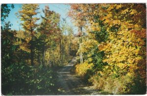 Fall Colours, A Road In Muskoka, Ontario, Canada, Vintage 1960 Chrome Postcard