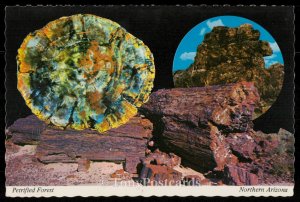 Petrified Forest National Monument