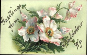 Waldoboro Maine ME Flowers Embossed Glitter c1900s-20s Postcard