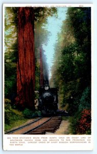 SANTA CRUZ, CA California ~ Railroad Train BIG TREES STATION c1910s Postcard