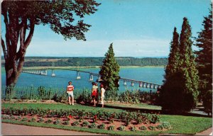 Isle of Orleans Bridge Quebec QC from Kent House c1961 Vintage Postcard F89