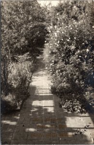 Real Photo Postcard Rose Garden at a house in South Pasadena, California~131820 