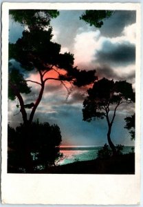 Postcard - Evening Seascape Scenery