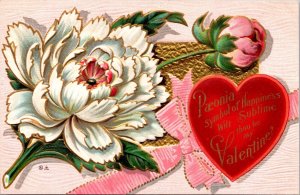 Valentine's Day Postcard Paeonia Flower Symbol of Happiness