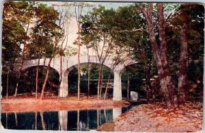 Postcard PARK SCENE Joliet Illinois IL AK1018