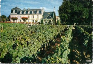 Postcard France Mission Haut Brion vineyard