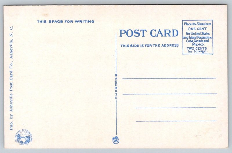 Mt. Leconte   Smoky Mountains   Tennessee   Postcard