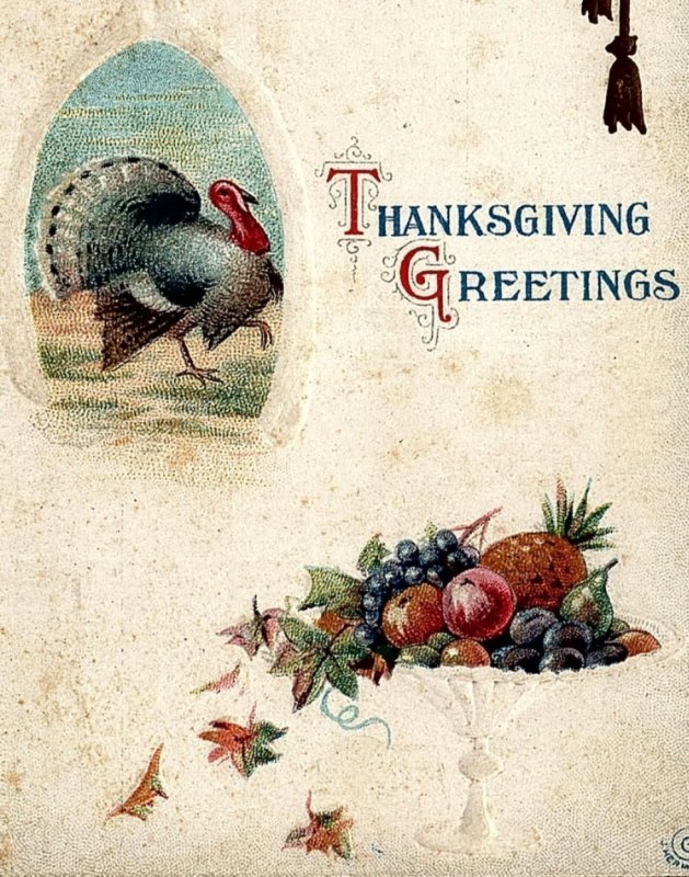 c1910 THANKSGIVING GREETINGS TURKEY FRUIT BOWL EMBOSSED POSTCARD 34-57