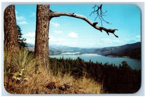 c1950 Lake Chatcolet Heyburn State Park Cruising Fishing Palouse Idaho Postcard