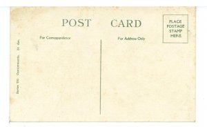 Military - Skirmish Line Drill at Camp