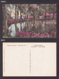 Postcard, United States, Charleston SC, Magnolia Gardens