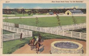 Kentucky Scene On A Blue Grass Horse Farm Curteich