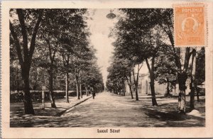 Romania Lacul Sarat Braila, Lacu Sărat Brăila Vintage Postcard C098