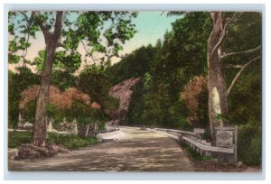 C. 1920 Big Sur San Simeon Highway Hand Colored California Vintage Postcard F52