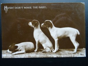 PUPPY DOG Portrait HUSH! DONT WAKE THE BABY c1912 RP Postcard by E.A.S.