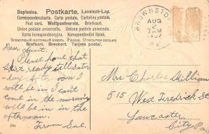 Cat and Kittens playing with Grasshopper Antique Postcard J64655 