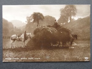 Country Life HAY COLLECTING Many Hands Make Light Work c1913 RP Postcard by EAS