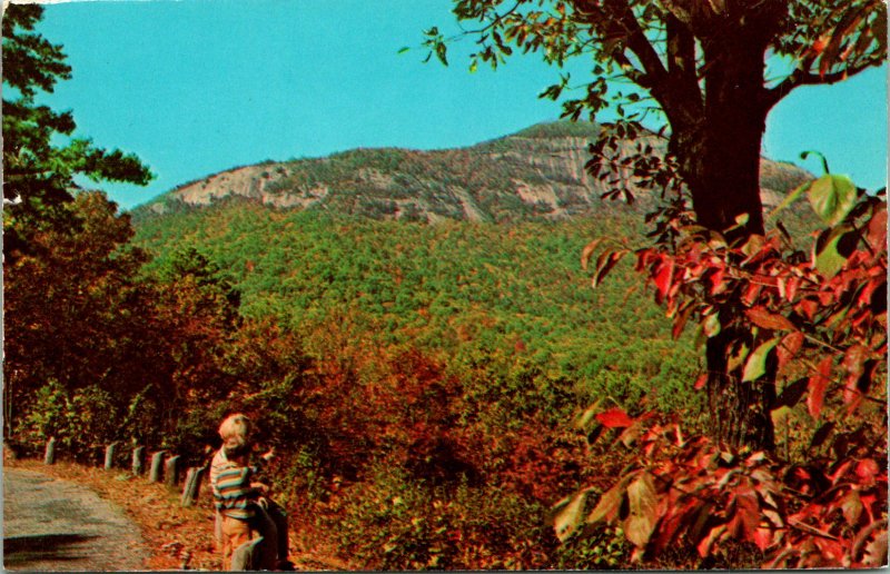 Greenville County SC Table Rock Mountain Postcard unused (18515)