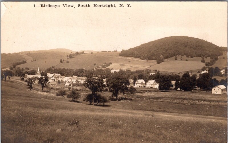 Real Photo Postcard Birds Eye View of South Kortright, New York