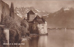 Switzerland Chillon et la Dent du Midi Photo