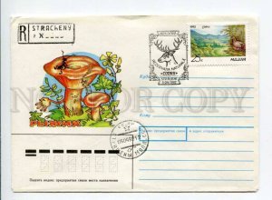 412964 MOLDOVA 1992 year Usova mushroom special cancellations COVER Deer