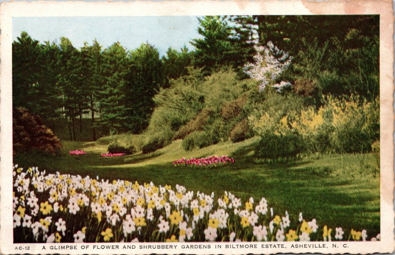 Asheville NC Biltmore Estates Gardens Postcard unused 1920s/30s