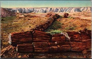 Vintage Postcard The Twin Sisters Petrified Forest Arizona KC7