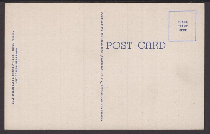 Florida Tropical Miami night view - Linen