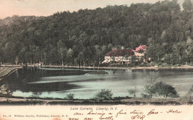 Vintage Postcard 1906 Lake Ophelia Scenic View Liberty New York William Jacoby