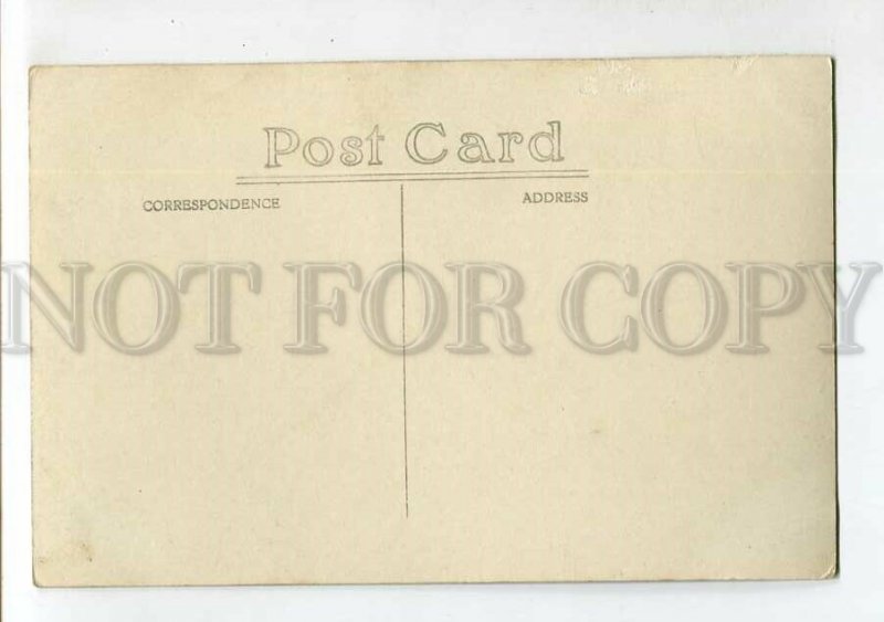 3151555 INDONESIA Borneo HUNTER & ELEPHANT Vintage photo PC