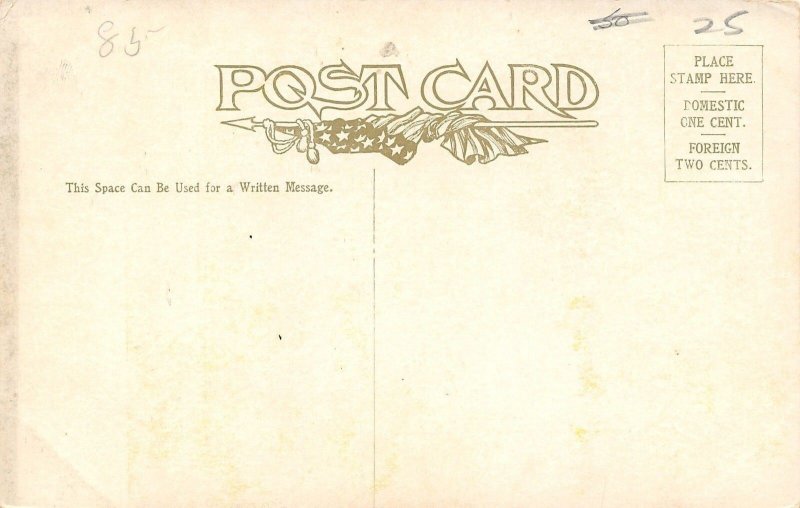 Niagara Falls New York~Men on Steps~YMCA Building~Fellow With Bag~Bicycles~1908