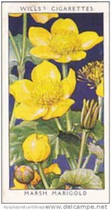 Wills Vintage Cigarette Card Wild Flowers 1936 1st Series No 22 Marsh Marigold