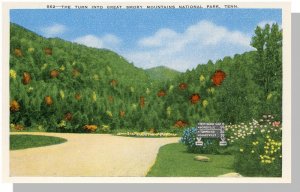 Smoky Mountains, Tennessee/TN Postcard, National Park, Near Mint!