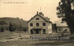 New York State Fish Hatchery - Bath Postcard