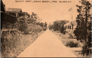 Vtg 1910s Beauty Spot Ocean Beach Fire Island New York NY Postcard