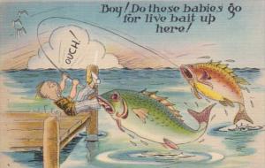 Fishing Humour Boy Do These Babies Go For Live Bait Up Here