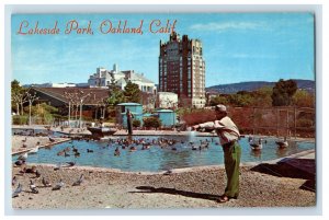Vintage Waterfowl Sanctuary At Lake Merritt Oakland California Postcard P145E