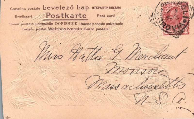 Yorkshire Terrier Energetic & Affectionate Dog Animal Artwork Vintage Postcard