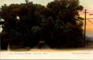 Massachusetts Cape Ann Annisquam Willows Rotograph