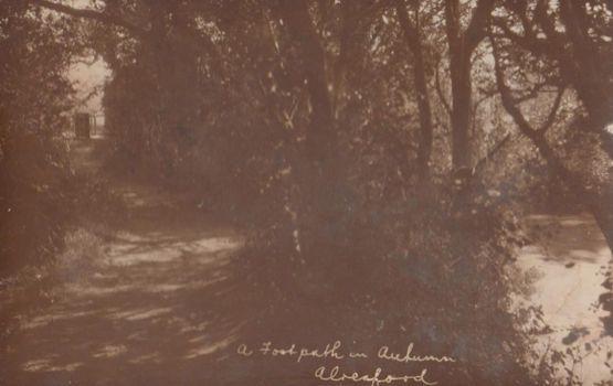 Alresford A Forest Footpath In Autumn Hampshire Antique Old Real Photo Postcard