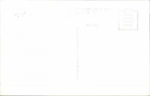 Avery Island LA Jungle Gardens Oak Tree C1 c1930s-40s RPPC Real Photo Postcard