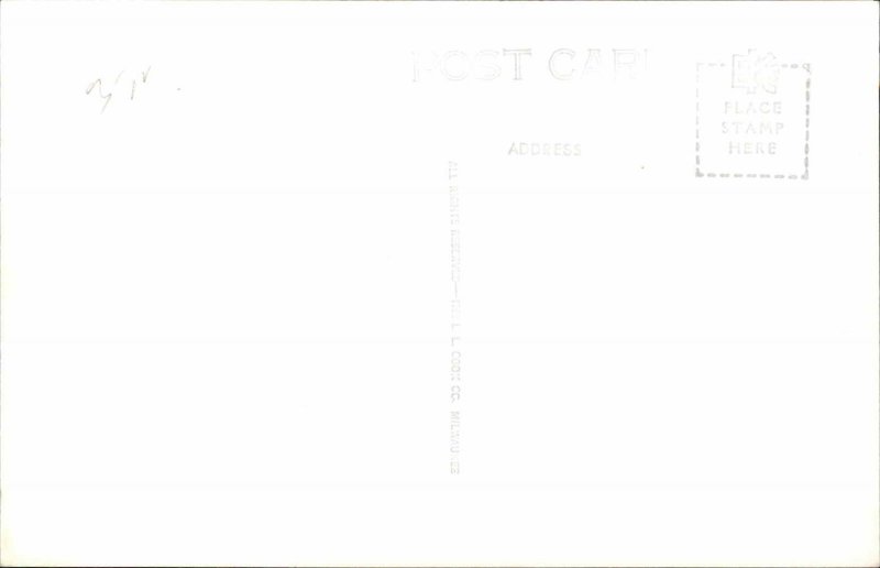 Avery Island LA Jungle Gardens Oak Tree C1 c1930s-40s RPPC Real Photo Postcard