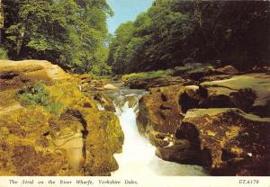 BR82804 dales yorkshire river wharfe the strid  uk