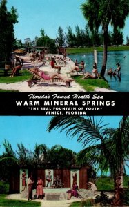 Florida Venice Warm Mineral Springs