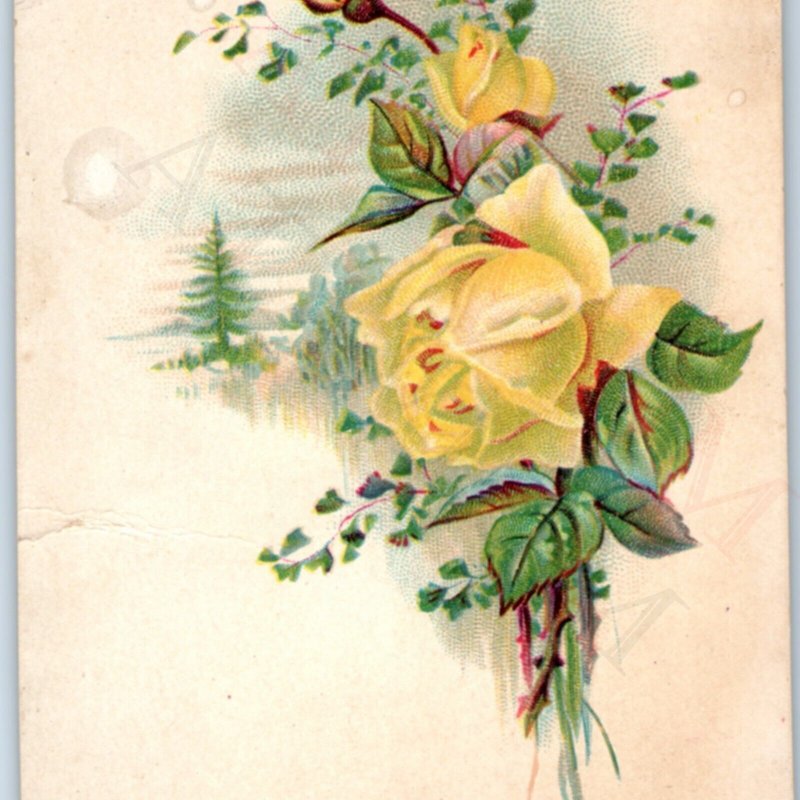 c1880s Bible Quote Proverbs 12:22 Religious Trade Card Rose Flower Christian C45